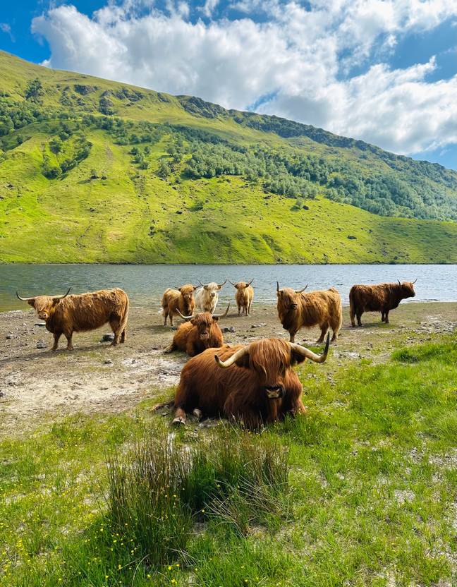 Ridicule.  1 crédit