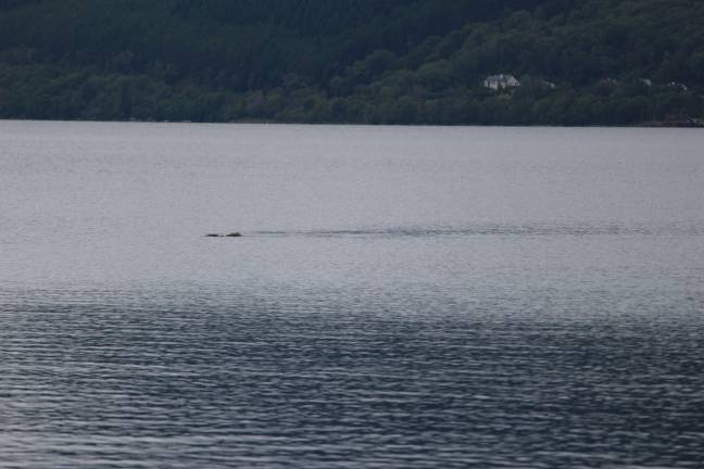 Un expert s'est penché sur ce phénomène 