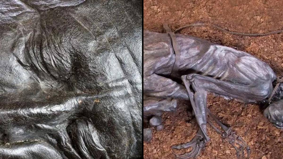 Guts a montré le dernier repas d'un homme de Tollund remarquablement bien conservé, datant d'il y a 2 400 ans.