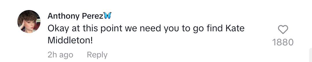 Harry Daniels Dua Lipa commentaire TikTok 03172024