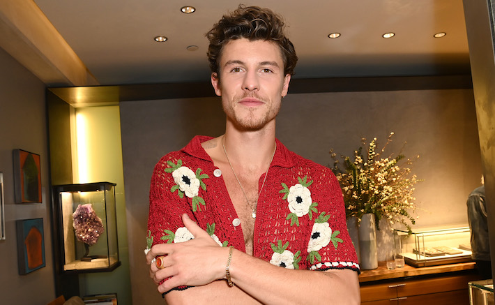 Shawn Mendes aurait pu teaser une chanson inédite, alors espérons que la sécheresse de Shawn Mendes est presque terminée