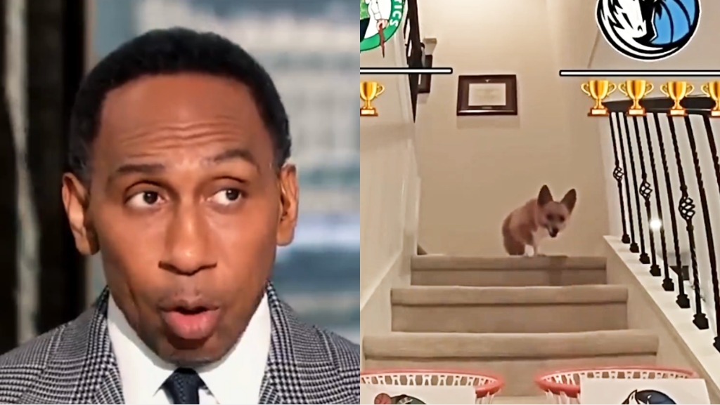 Les Celtics ont rassemblé tous ceux qui les affrontaient en finale, de Stephen A. à un Corgi