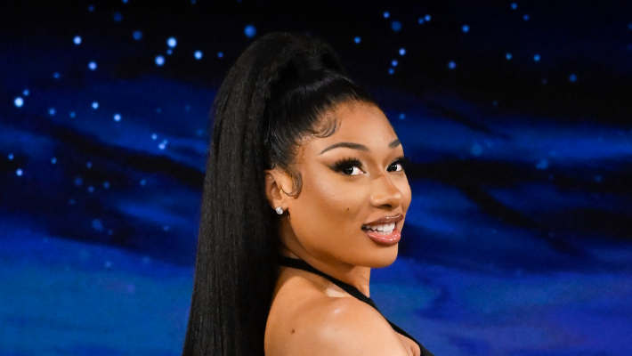 Le costume d'Halloween inspiré de DC Comics de Megan The Stallion a obtenu l'approbation de James Gunn lui-même