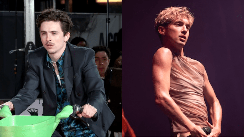 Timothée Chalamet a signé le record d'un fan de Troye Sivan — En tant que Troye Sivan