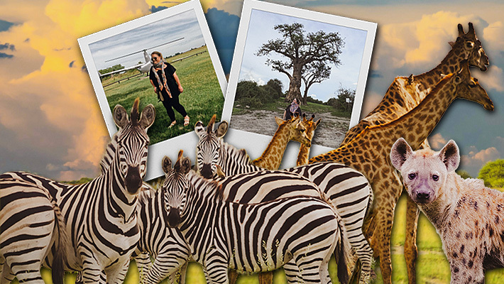 Comment réserver un voyage de safari au Botswana pour le voyage ultime hors saison