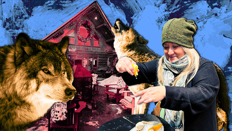Dormez parmi les loups dans ce charmant hôtel du Québec